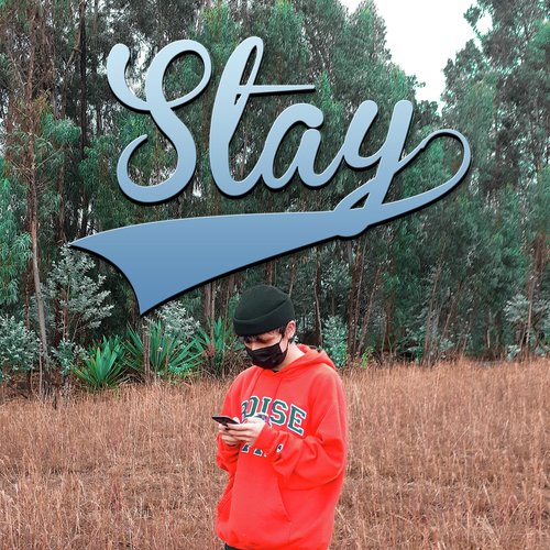 Stay cover art