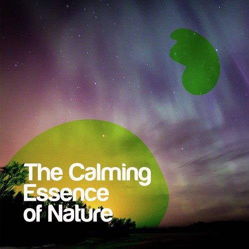 The Calming Essence of Nature