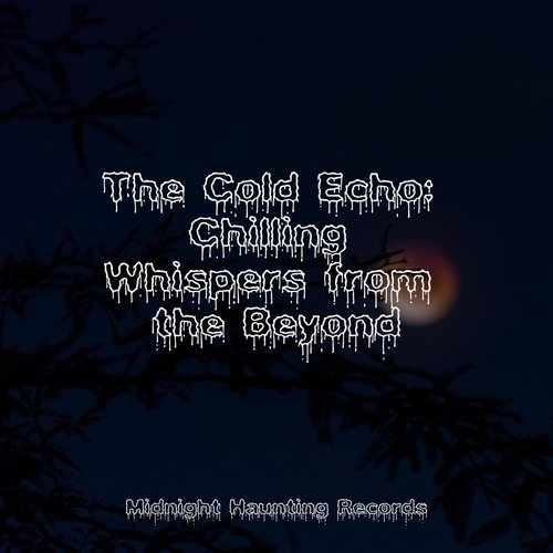 The Cold Echo: Chilling Whispers from the Beyond_poster_image