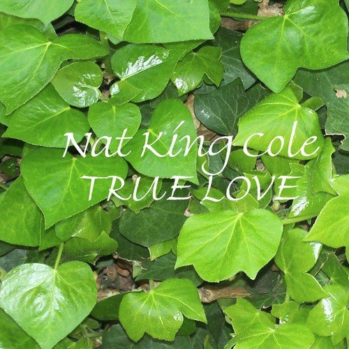 When I Fall In Love - Nat King Cole. Lyrics e Tradução em Português. 