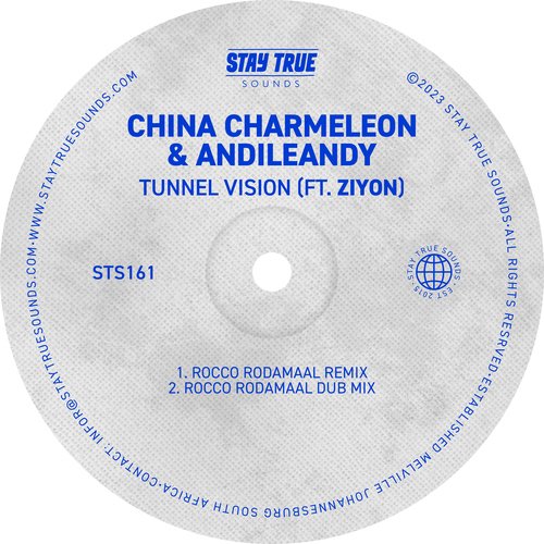 Tunnel Vision (feat. Ziyon) (Rocco Rodamaal Remix)_poster_image