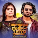 Valobas Bujhli Na Re