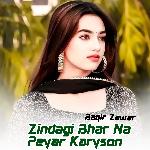 Zindagi Bhar Na Peyar Karyson
