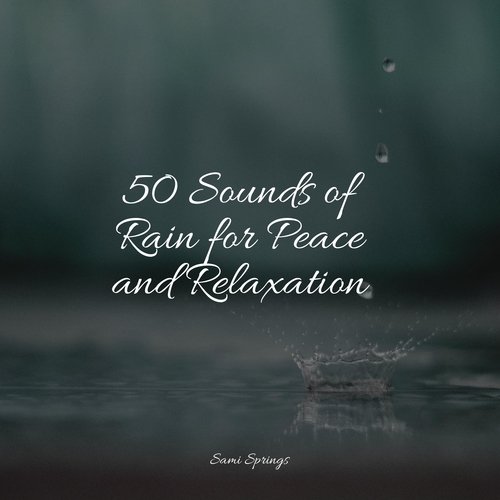 50 Sounds of Rain for Peace and Relaxation_poster_image