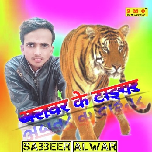 Alwar ke Tiger Mewati