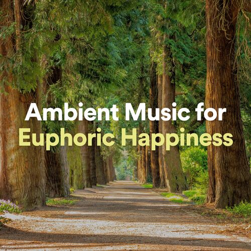 Ambient Music for Euphoric Happiness_poster_image