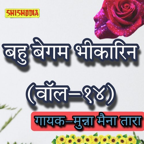 Bahu begam Bhikharin vol 14