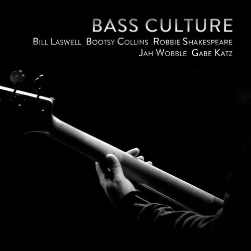 Bass Culture: Silent Warfare, The Deep, The Thunder Lizard, Jungle Overload, World As Will, Starship_poster_image