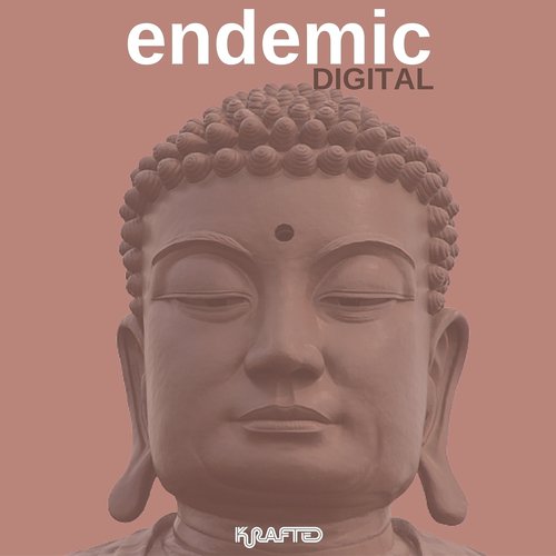 Androxinoxia cover art