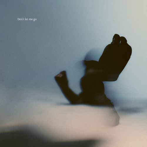 Don't Let Me Go cover art