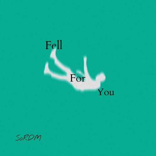 Fell For You cover art