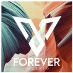 Forever artwork