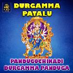 Pandugochinadi Durgamma Panduga
