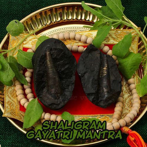 Shaligram Gayatri Mantra