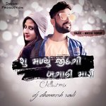 Shu Madyu Jindagi Bagadi Mari (Chillout Mix)