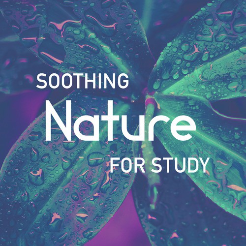 Riverside Peace cover art