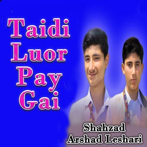 Taidi Luor Pay Gai