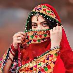 Tar Stargo De Qurban Sam