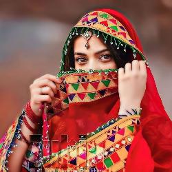 Tar Stargo De Qurban Sam