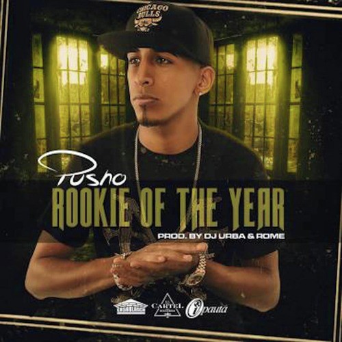 The Rookie Of The Year_poster_image