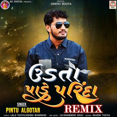 Udta Pade Parinda (Remix)