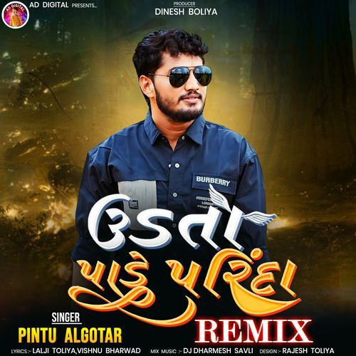 Udta Pade Parinda (Remix)