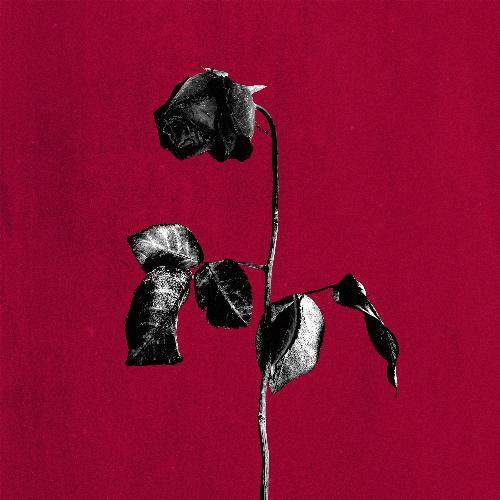 Dirty Laundry (slowed) Lyrics Blackbear Only on JioSaavn