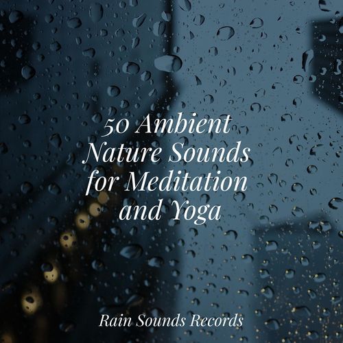 50 Ambient Nature Sounds for Meditation and Yoga