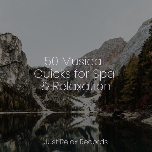 50 Musical Quicks for Spa & Relaxation