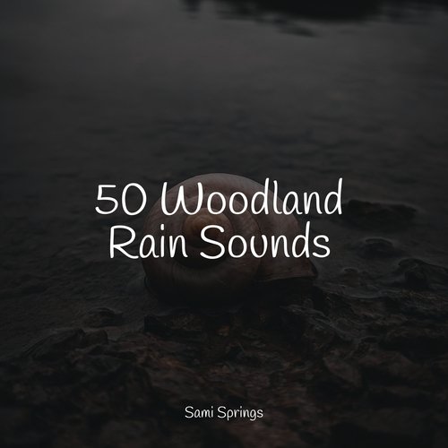 50 Woodland Rain Sounds_poster_image