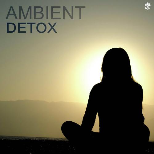 Ambient Detox_poster_image