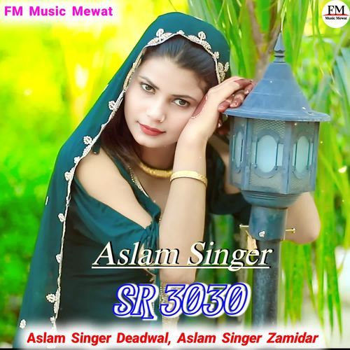 Aslam Singer SR 3030