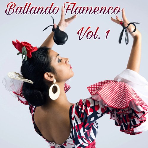 Ballando Flamenco (Vol. 1)_poster_image