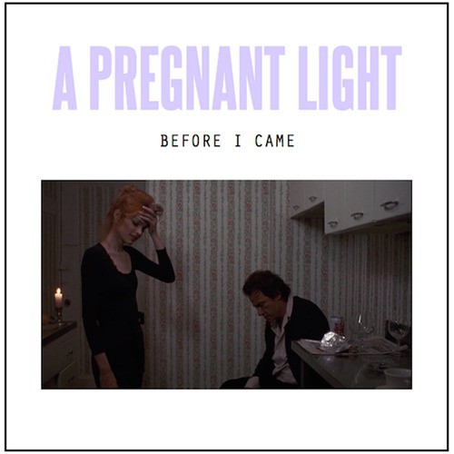 The Pregnant Life cover art