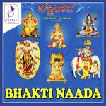 Paalise Varamaaleya