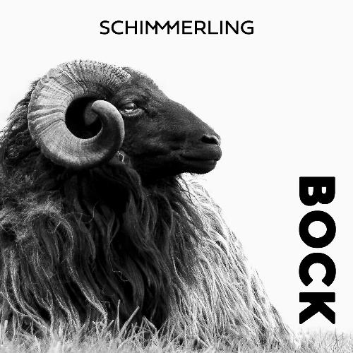 Zimmer cover art