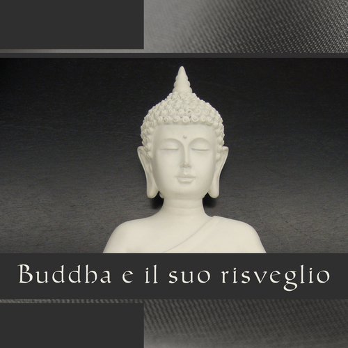 Musica terapeutica cover art