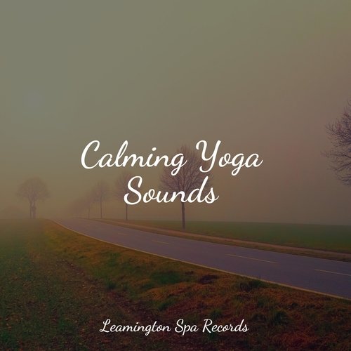 Focused, Relaxed cover art
