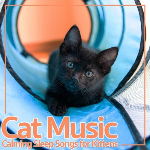 Feline Music for Sleeping