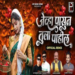 Jevha Pasun Tula Pahil