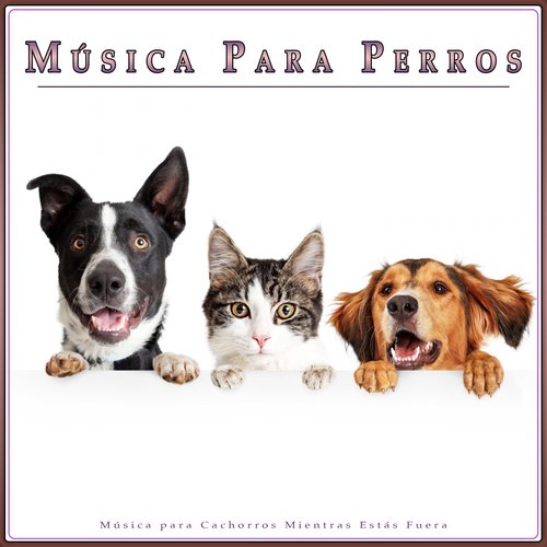 Música para Perros cover art