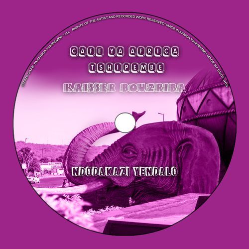 Ndodakazi YeNdalo cover art