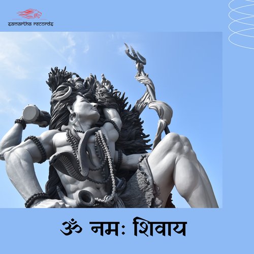 Om Namah Shivay