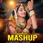 Rajasthani Mashup