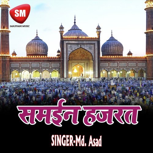 Wo Sube Lala Zar Firte Hai cover art