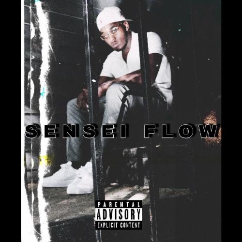 Sensei Flow_poster_image