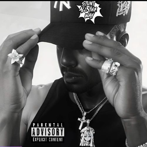 Stunt All the Way cover art