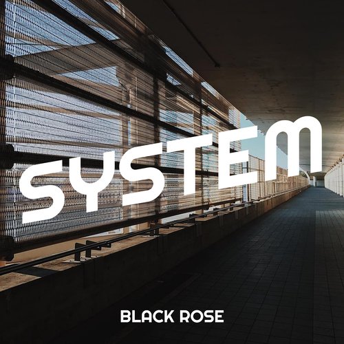 System