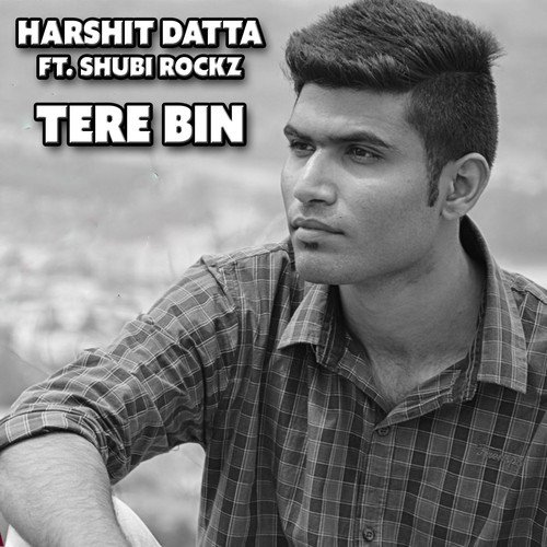 Tere Bin_poster_image