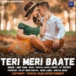 Teri Meri Baate